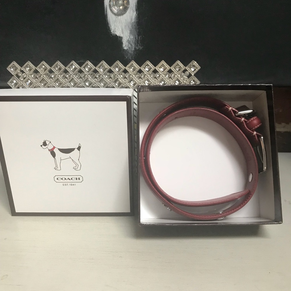Coach leather dog collar